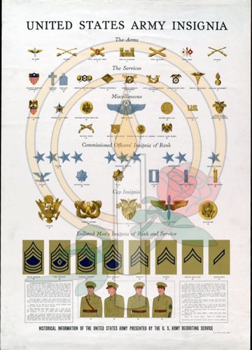 Unites StatesArmy Insignia