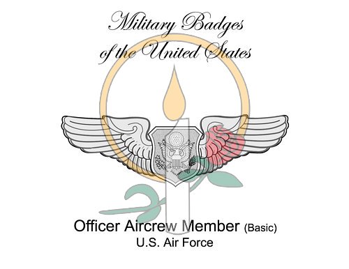 Badge Card, Officer Aircrew Member (Basic)