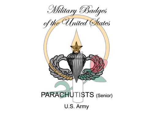 Badge Card, Parachutists (Senior)