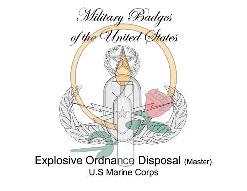 Badge Card, Explosive Ordnance Disposal (Master)