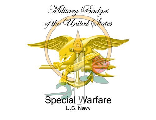 Badge Card, Special Warfare