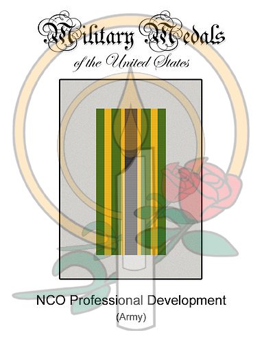 Medal Card, NCO Professional Development