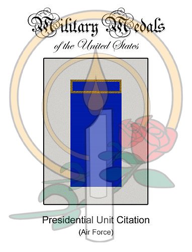 Medal Card, Presidential Unit Citation (Air Force)
