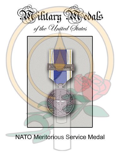 Medal Card, NATO Meritorious Service Medal