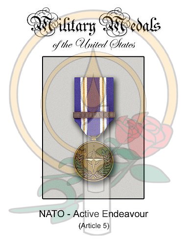 Medal Card, NATO Active Endeavour