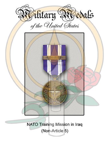 Medal Card, NATO NTIM Iraq