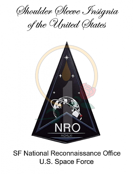 SSI Card, SF National Reconnaissance Office