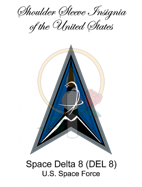 SSI Card, Space Delta 8 (DEL 8)