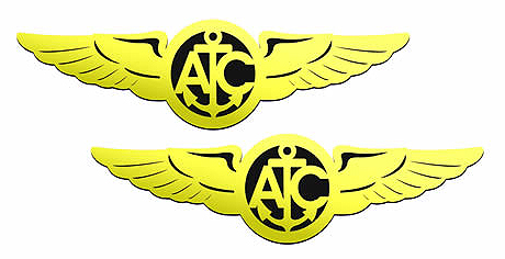 Naval Air Crew Wings