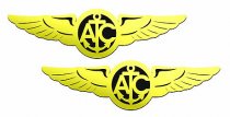 Naval Air Crew Wings