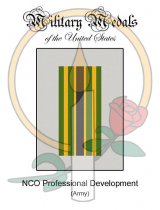 Medal Card, NCO Professional Development