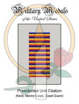 Medal Card, Presidential Unit Citation (Navy-MC-CG)