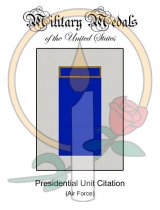 Medal Card, Presidential Unit Citation (Air Force)
