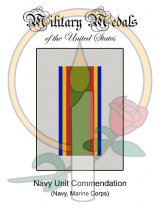 Medal Card, Navy Unit Commendation