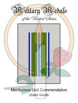 Medal Card, Meritorious Unit Commendation (CG)