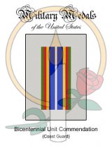 Medal Card, Bicentennial Unit Commendation