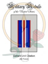 Medal Card, Gallant Unit Citation