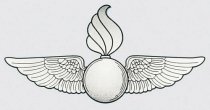 Ordnance Wings (Silver) Decal
